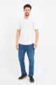 Bosmenti Shirt Collar Short Sleeve Striped - GREY
