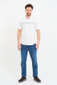 Bosmenti Shirt Collar Short Sleeve Striped - GREY