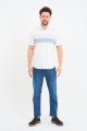 Bosmenti Shirt Collar Short Sleeve Striped - GREY