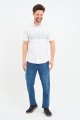 Bosmenti Shirt Collar Short Sleeve Striped - GREY