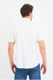 Bosmenti Shirt Collar Short Sleeve Striped - GREEN