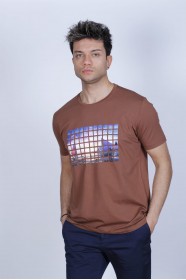 BROWN COLOUR, SHORT SLEEVE T-SHIRT, COTTON AND LYCRA MIXED WITH A ROUND NECK AND CONTRAST FRONT PRINT.