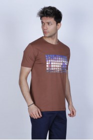BROWN COLOUR, SHORT SLEEVE T-SHIRT, COTTON AND LYCRA MIXED WITH A ROUND NECK AND CONTRAST FRONT PRINT.